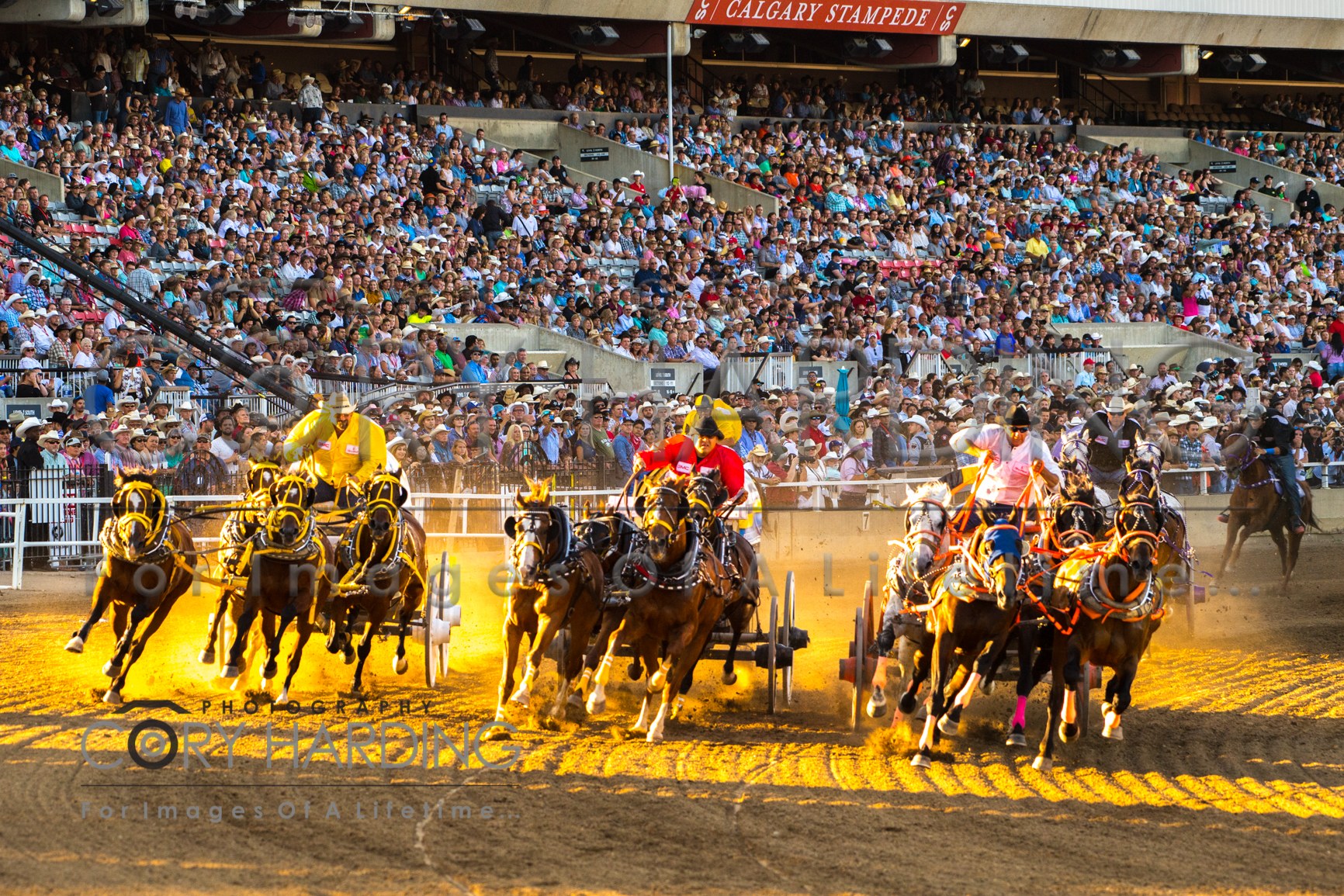 Action Event — _CAH9367