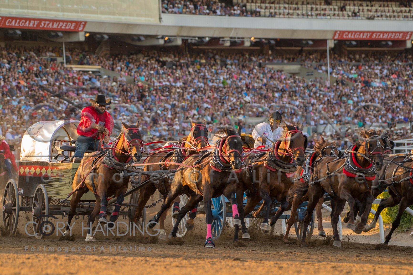 Action Event — _CAH9641