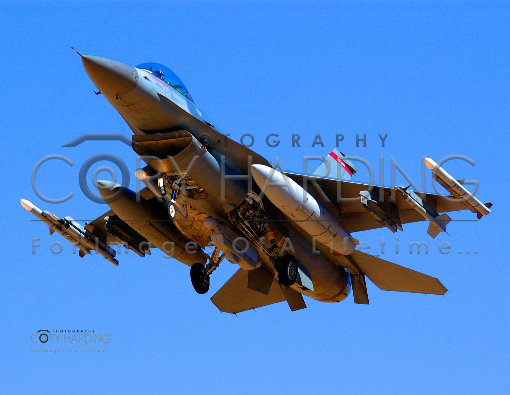 Action Event — DSC_0194