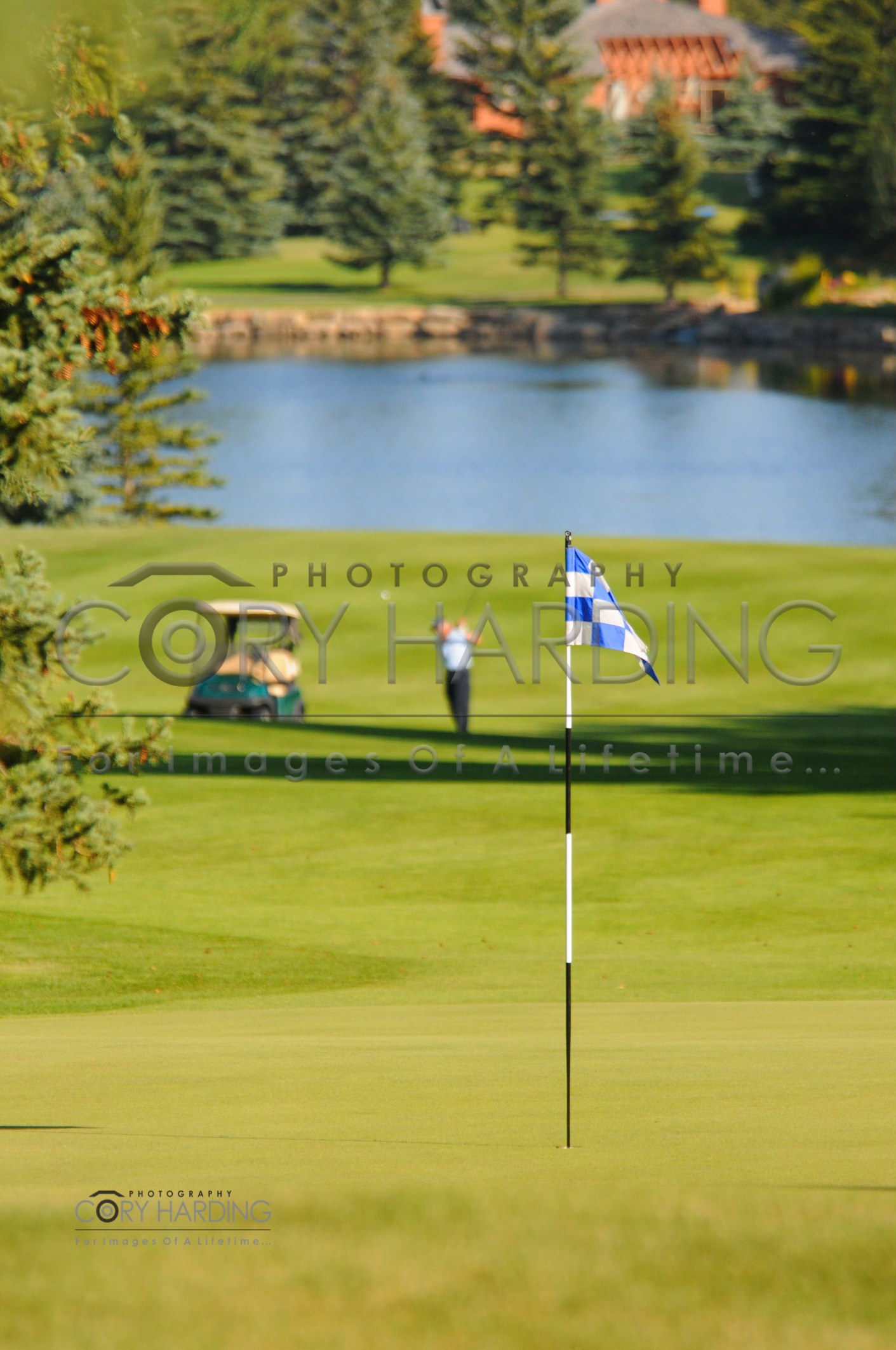 Commercial — DSC_1002