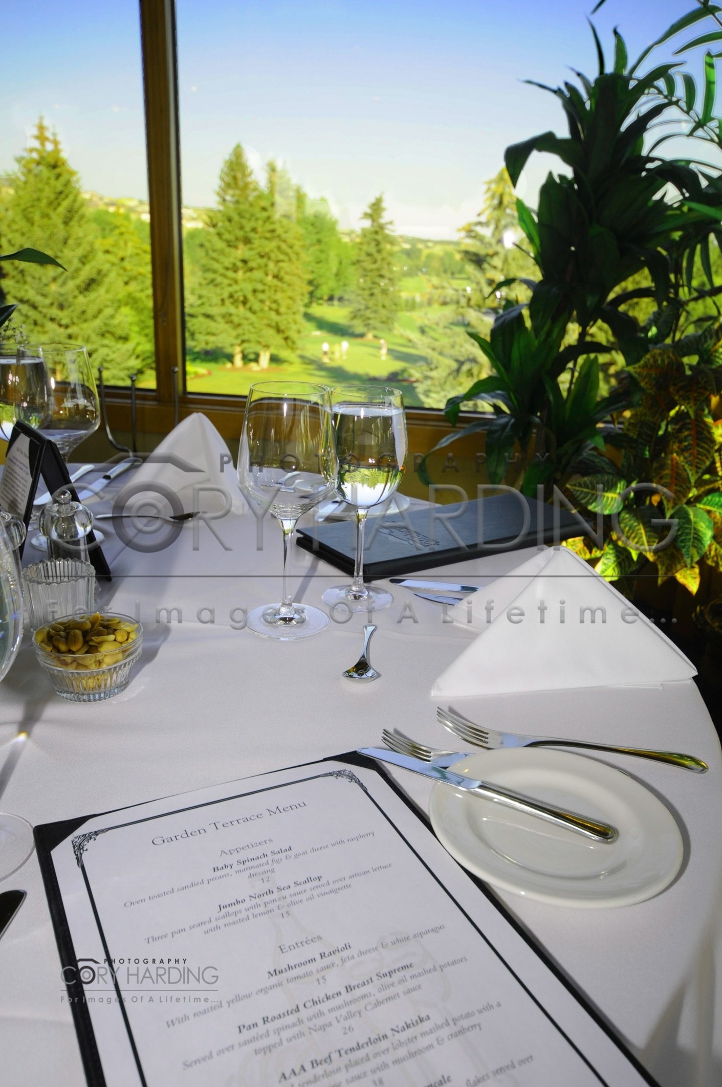 Commercial — DSC_1139-c