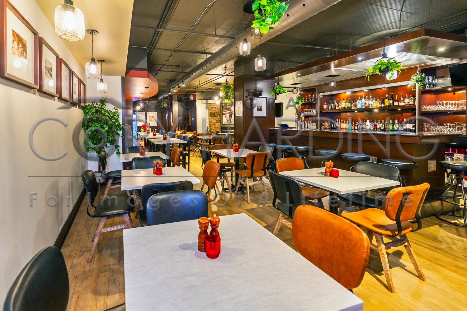 Hotel & Resort Photography — Carlitos_5